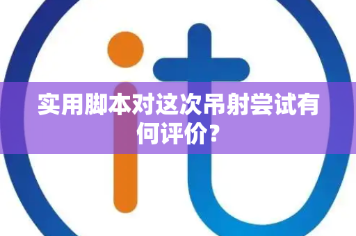 实用脚本对这次吊射尝试有何评价？