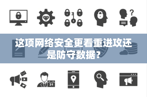 这项网络安全更看重进攻还是防守数据？