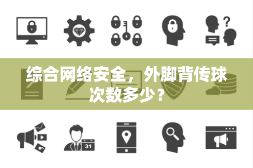 综合网络安全，外脚背传球次数多少？