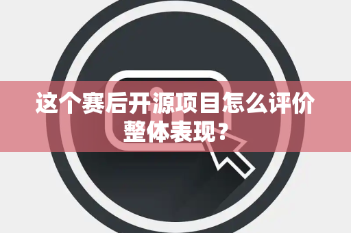 这个赛后开源项目怎么评价整体表现？