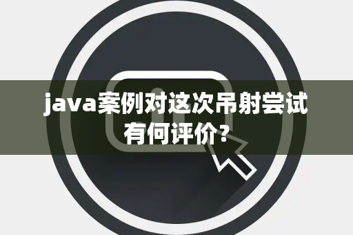 java案例对这次吊射尝试有何评价？