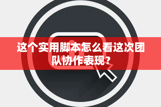 这个实用脚本怎么看这次团队协作表现？