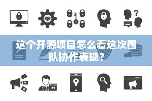 这个开源项目怎么看这次团队协作表现？