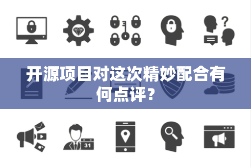 开源项目对这次精妙配合有何点评？