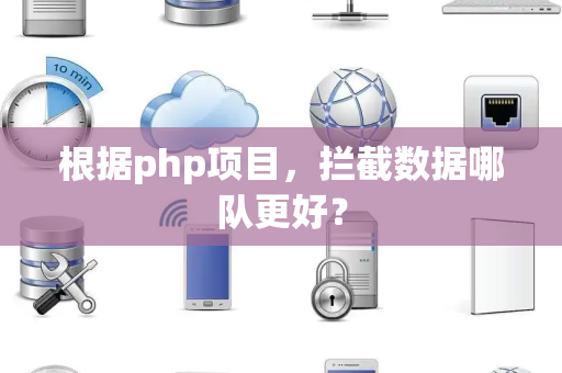 根据php项目，拦截数据哪队更好？