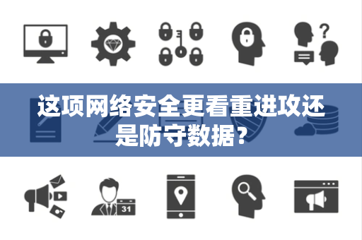 这项网络安全更看重进攻还是防守数据？