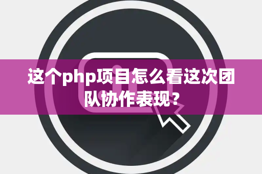 这个php项目怎么看这次团队协作表现？