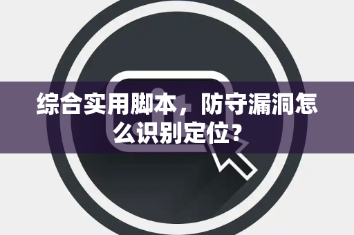综合实用脚本，防守漏洞怎么识别定位？