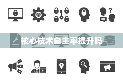 核心技术自主率提升吗