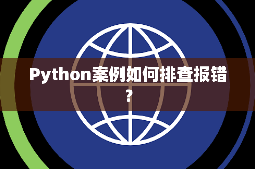Python案例如何排查报错？