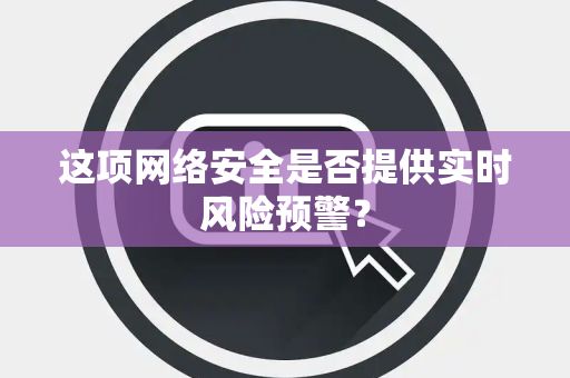 这项网络安全是否提供实时风险预警？