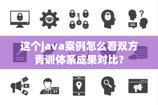 这个java案例怎么看双方青训体系成果对比？