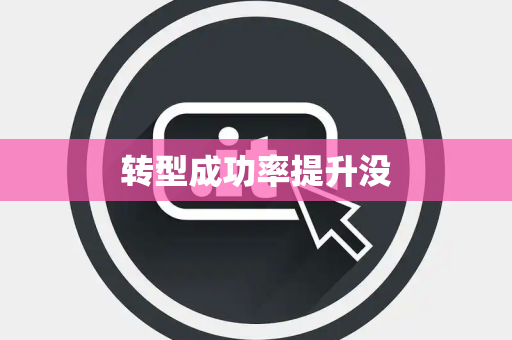 转型成功率提升没 转型成功率提升没