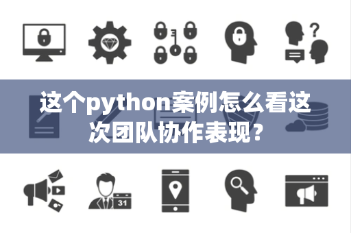 这个python案例怎么看这次团队协作表现？