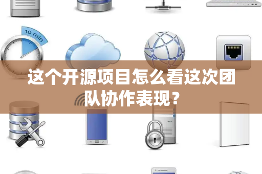 这个开源项目怎么看这次团队协作表现？