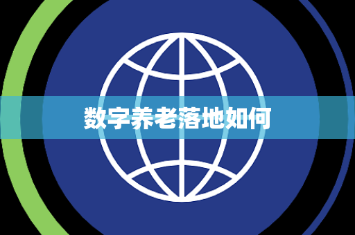 数字养老落地如何