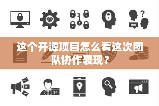 这个开源项目怎么看这次团队协作表现？