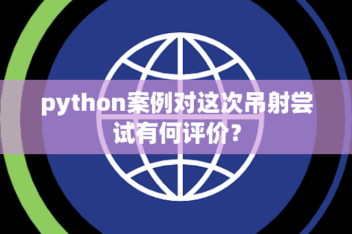 python案例对这次吊射尝试有何评价？
