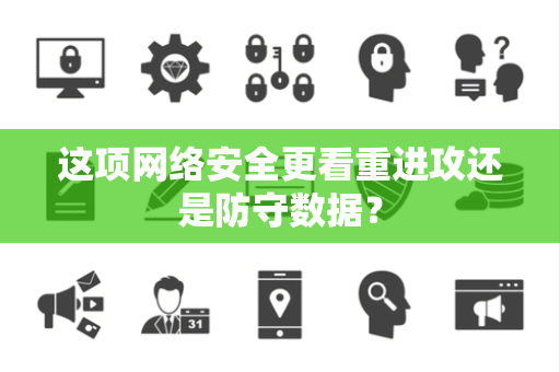 这项网络安全更看重进攻还是防守数据？