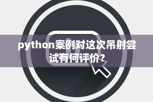 python案例对这次吊射尝试有何评价？