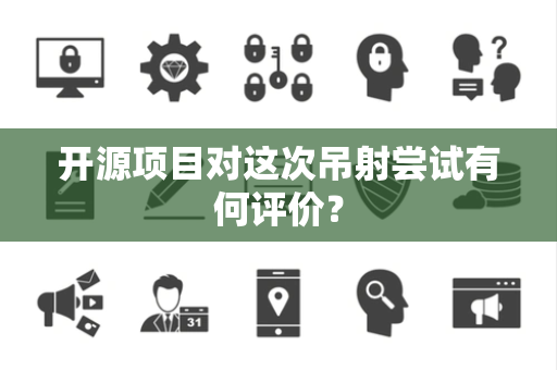 开源项目对这次吊射尝试有何评价？