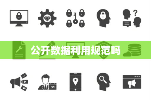公开数据利用规范吗