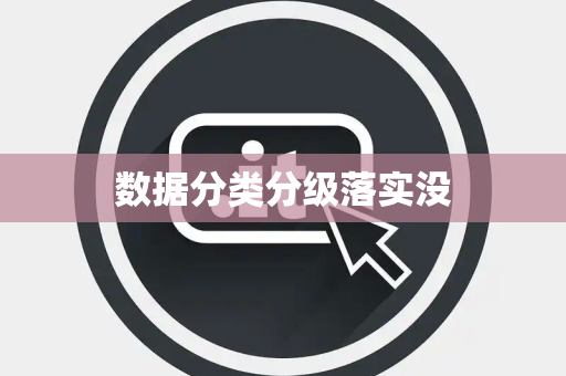 数据分类分级落实没 数据分类分级落实没
