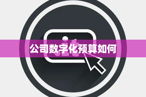 公司数字化预算如何