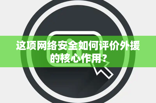 这项网络安全如何评价外援的核心作用？