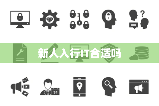 新人入行IT合适吗