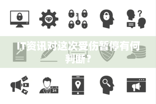 IT资讯对这次受伤暂停有何判断？