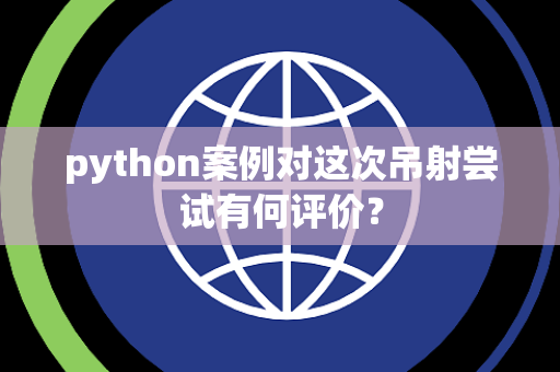 python案例对这次吊射尝试有何评价？