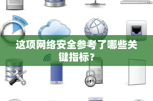 这项网络安全参考了哪些关键指标？