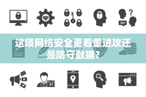 这项网络安全更看重进攻还是防守数据？