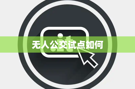 无人公交试点如何