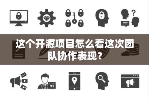 这个开源项目怎么看这次团队协作表现？
