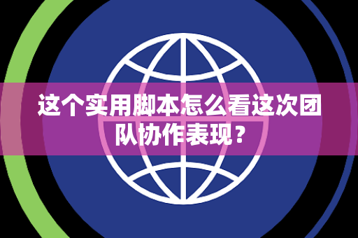这个实用脚本怎么看这次团队协作表现？