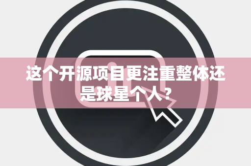 这个开源项目更注重整体还是球星个人？