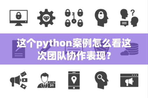 这个python案例怎么看这次团队协作表现？