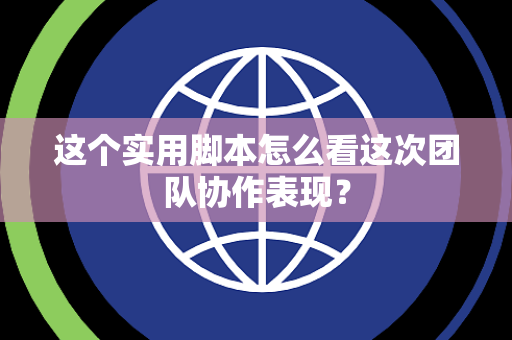 这个实用脚本怎么看这次团队协作表现？