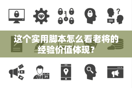 这个实用脚本怎么看老将的经验价值体现？