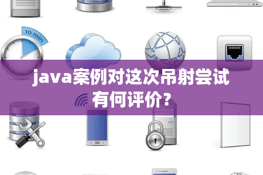 java案例对这次吊射尝试有何评价？