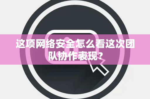 这项网络安全怎么看这次团队协作表现？