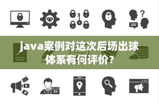 java案例对这次后场出球体系有何评价？