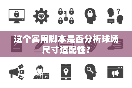 这个实用脚本是否分析球场尺寸适配性？