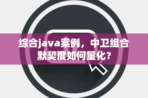 综合java案例，中卫组合默契度如何量化？