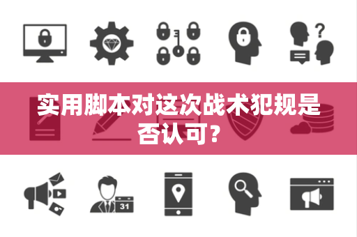 实用脚本对这次战术犯规是否认可？
