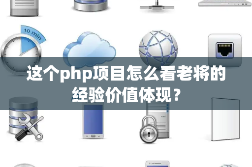 这个php项目怎么看老将的经验价值体现？