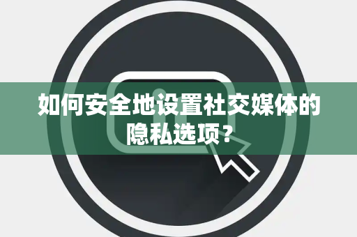 如何安全地设置社交媒体的隐私选项？