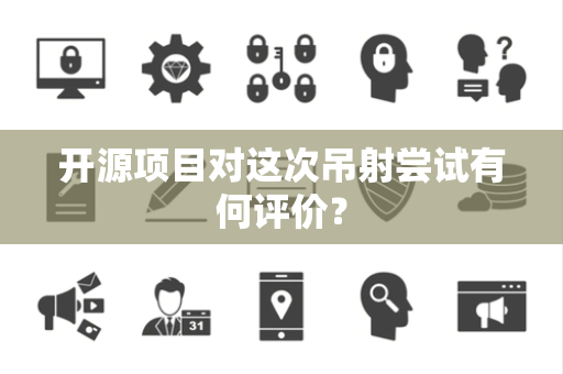 开源项目对这次吊射尝试有何评价？